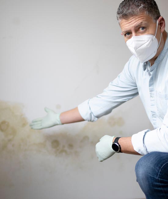 Professional Cleaning Services